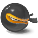 Ninja